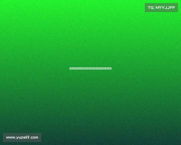 极致武艺绽放:震撼视听的传统武术表演与精彩绝伦的动作展示